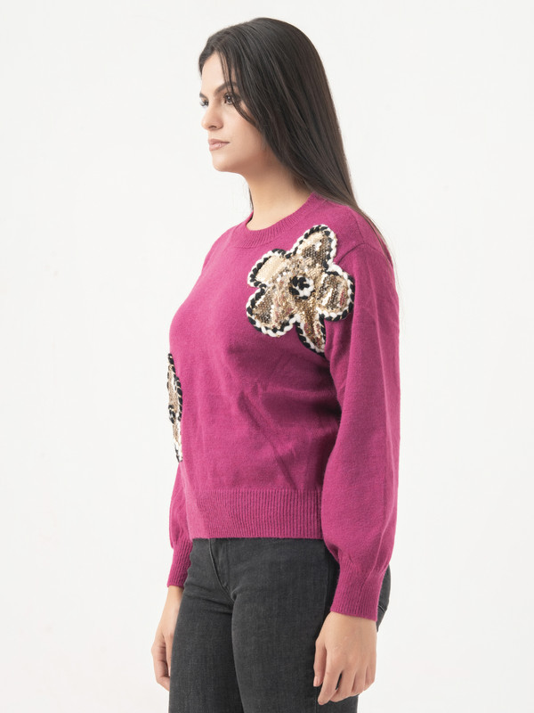 Albion Women Winter Plum Sweaters