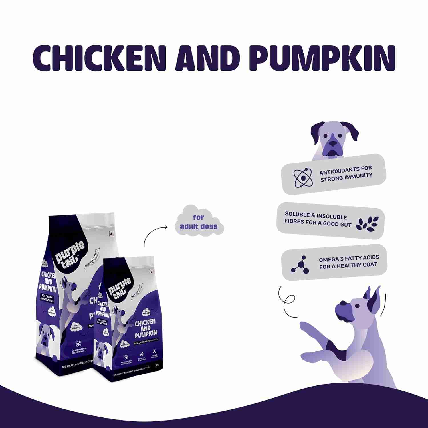 Purple Tail Chicken and Pumpkin Dry Food for Adult Dog