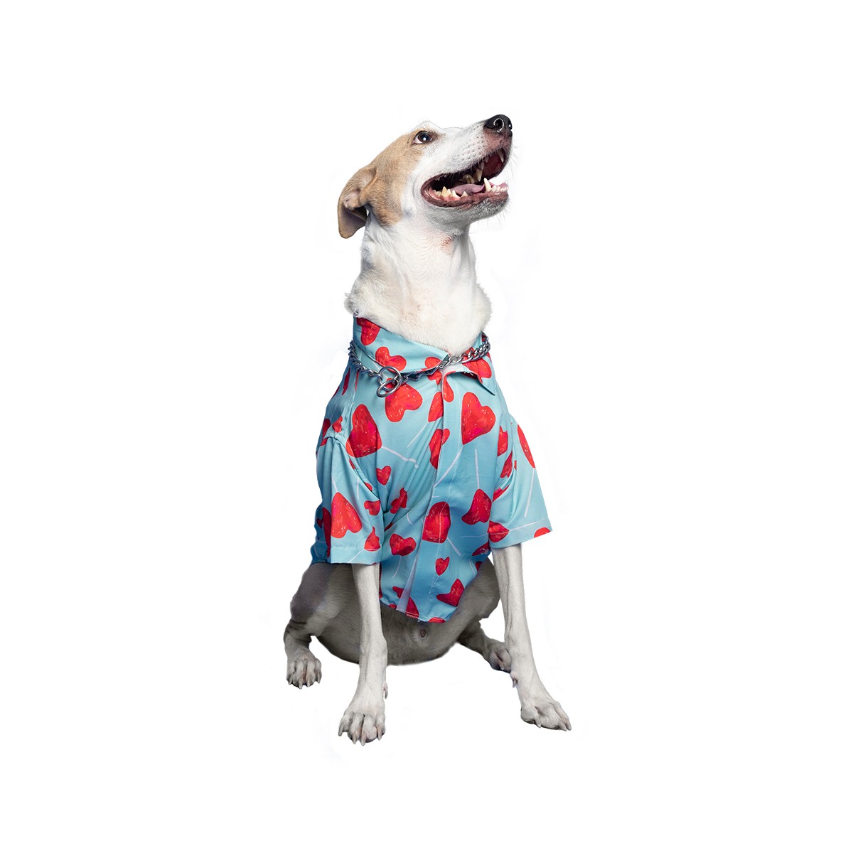 Ezra Polyester Blend Dog Shirt - Heart Stick