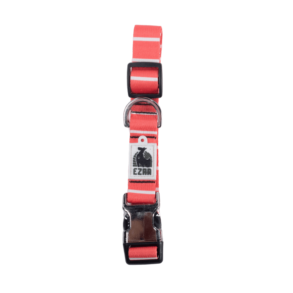 Ezra Digital Print Dog Collar - Assorted
