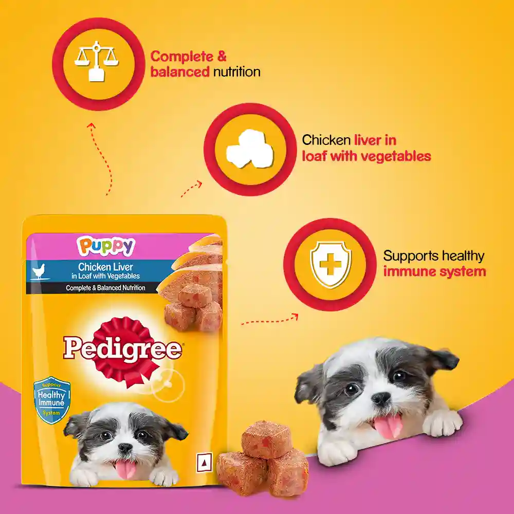 Pedigree Puppy Chicken and Liver Loaf Wet Dog Food - 70 gm
