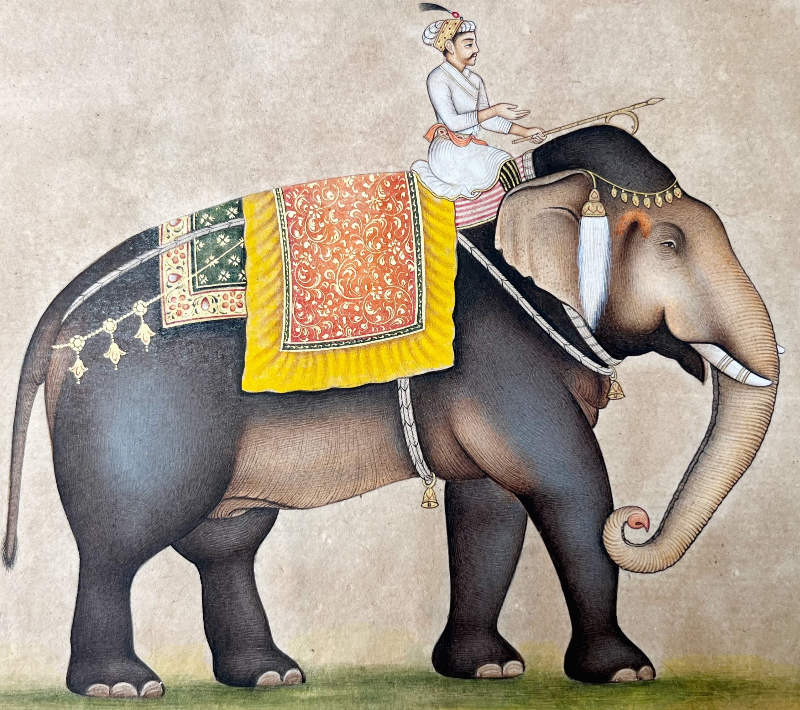 Mughal Miniature Elephant Painting