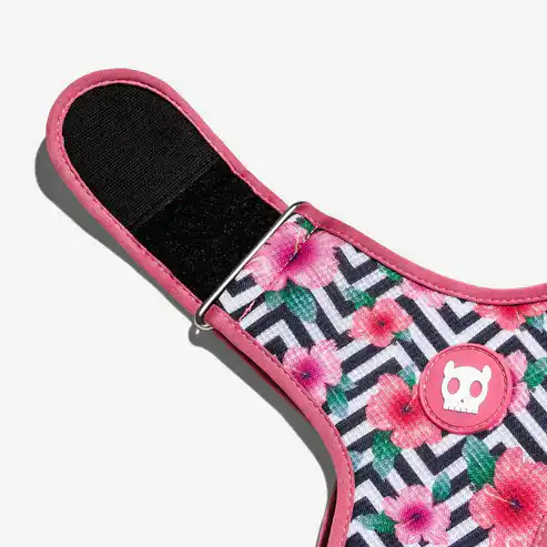 Zee Dog Mahalo Adjustable Air Mesh Harness for Dogs