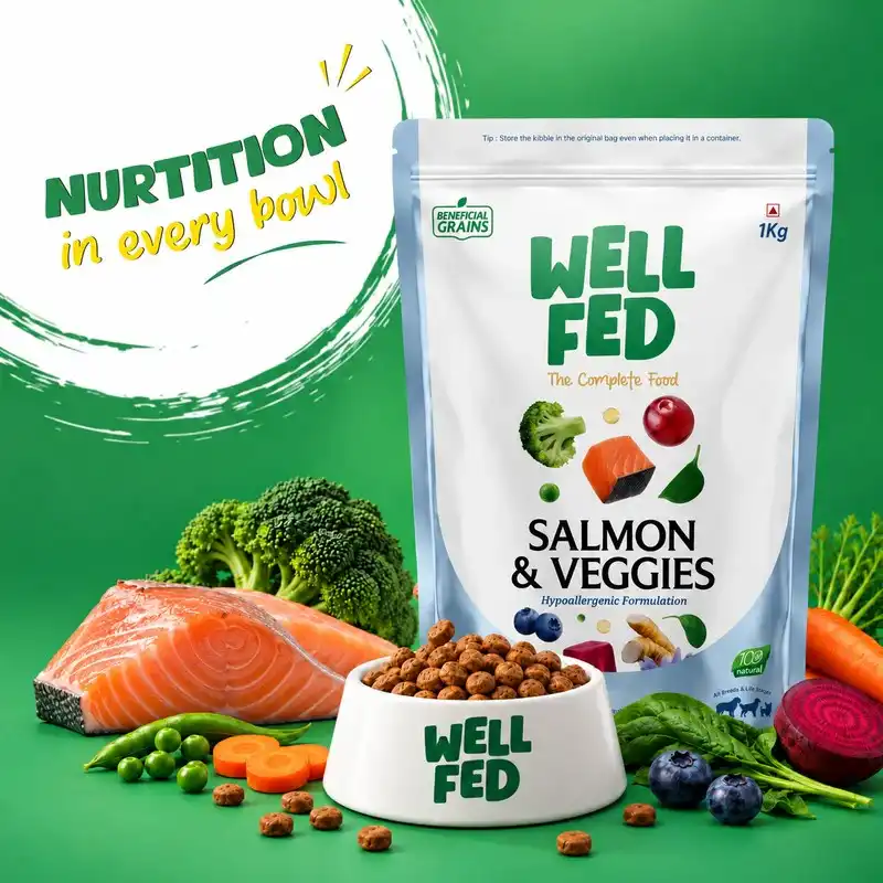 Well Fed Beneficial Grain Salmon and Veggies Dry Food for Dogs
