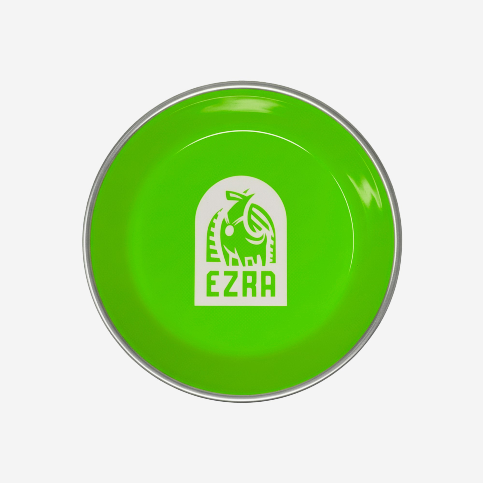 Ezra Anti Skid Rubber Grip, Stainless Steel Bowls for Dog, Light Green