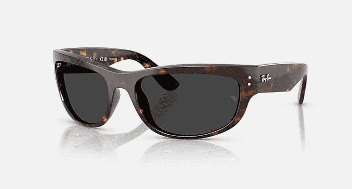 0RB2289, Propionate Unisex Sunglasses