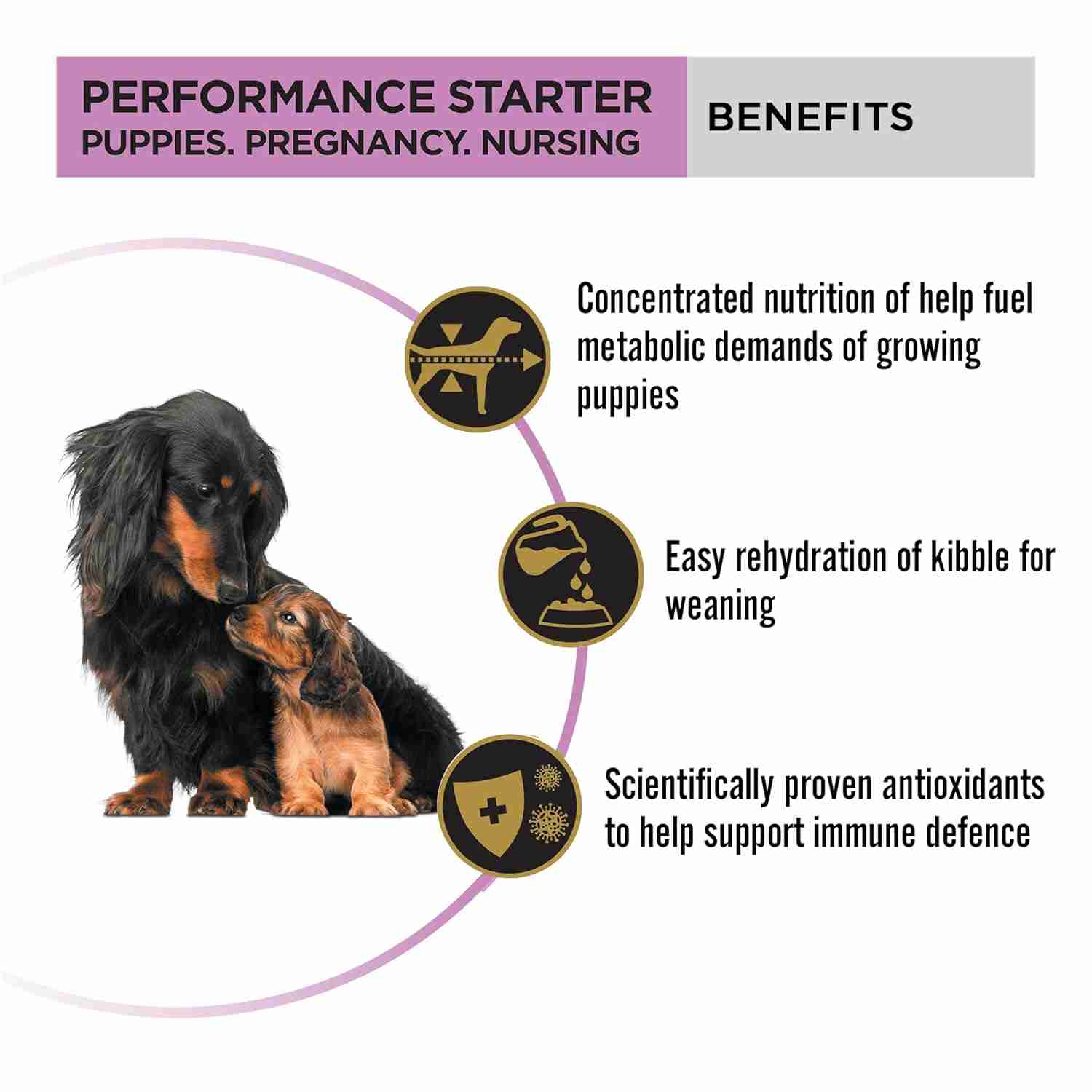 PURINA Pro Plan Chicken Mother & Puppy Starter Dog Dry Food 3kg