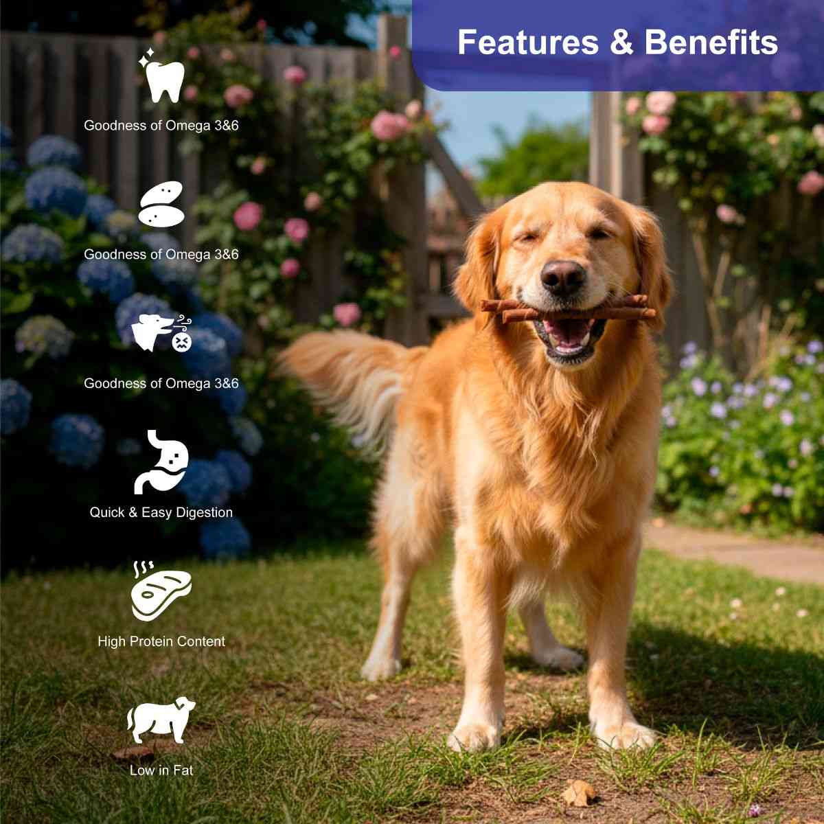Snackers Non Rawhide Chews Sandwich Roll Natural for Dogs, 225 g