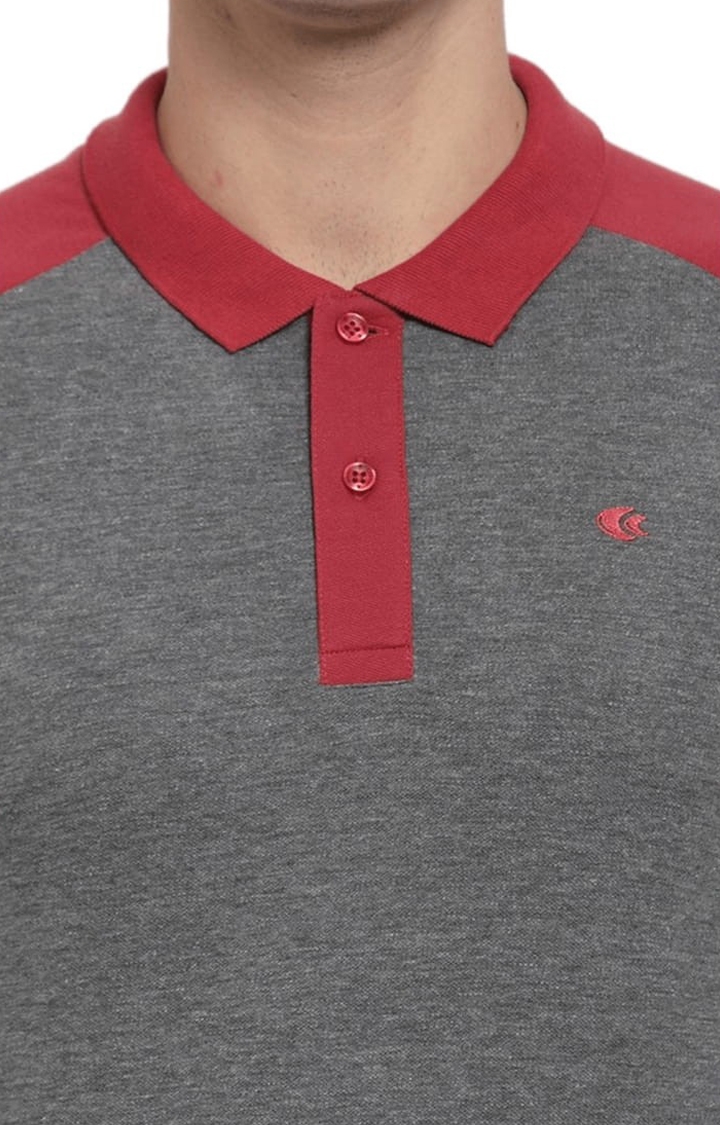 Allen Cooper | Men's Grey Cotton Solid Polo T-Shirt 4