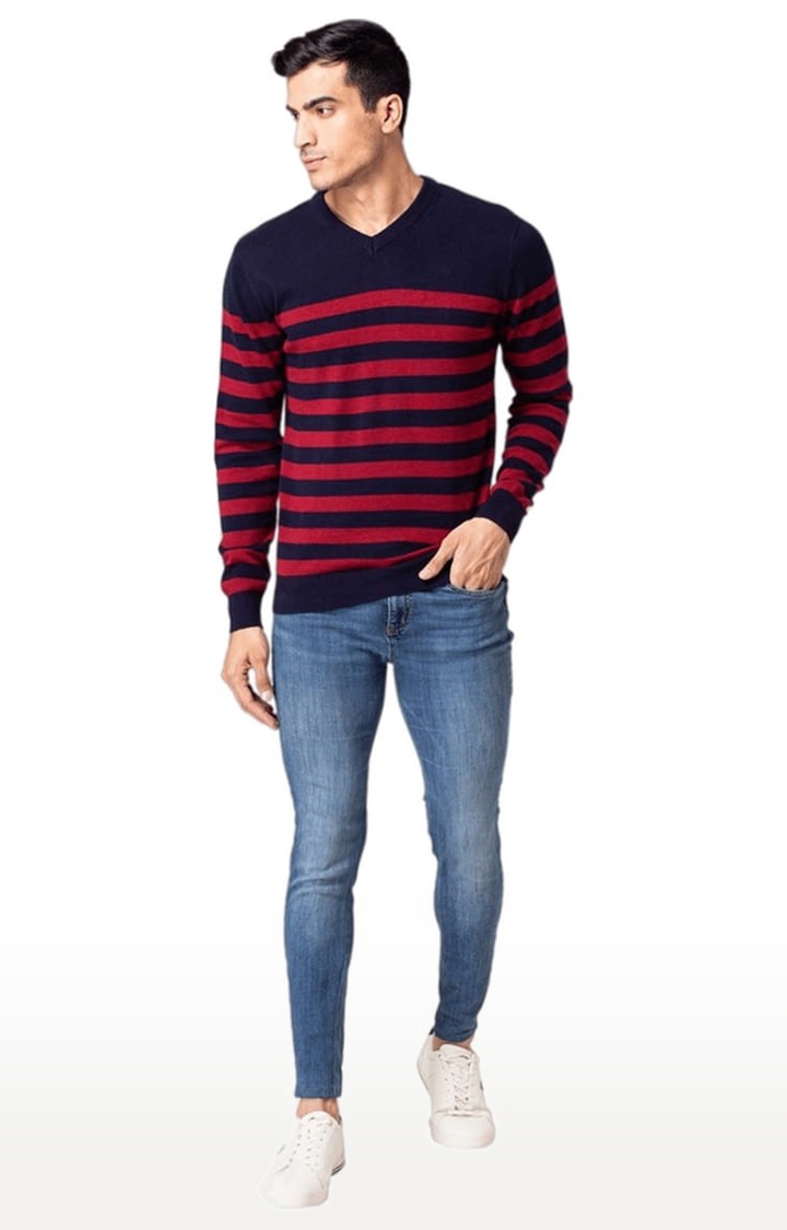 Allen Cooper | Men's Blue & Red Cotton Striped Sweater 1