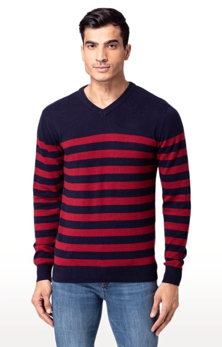 Allen Cooper | Men's Blue & Red Cotton Striped Sweater 3