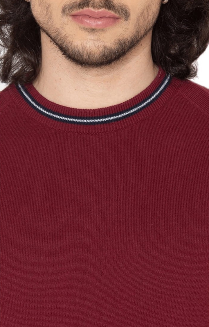 Allen Cooper | Men's Maroon-Melange Textured Cotton Solid Sweater 4