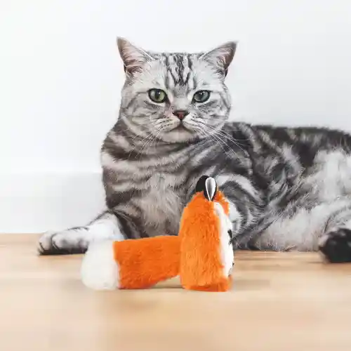 Barkbutler Fofos Floppy Crinkle Fox Catnip Toy for Cats