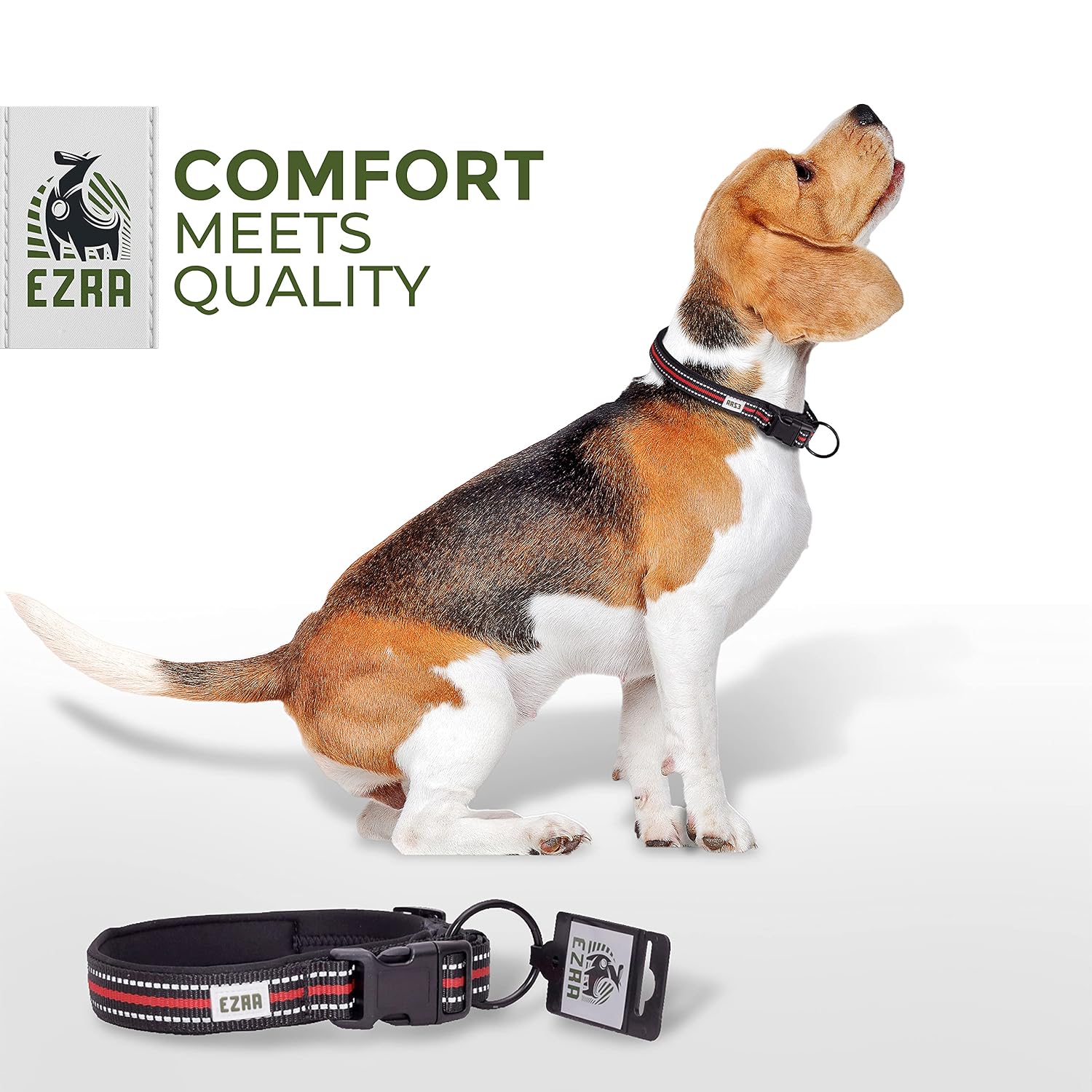 Ezra Hart Dog Collar, Durable Padded Adjustable Collar with Steel D-Ring, Orange