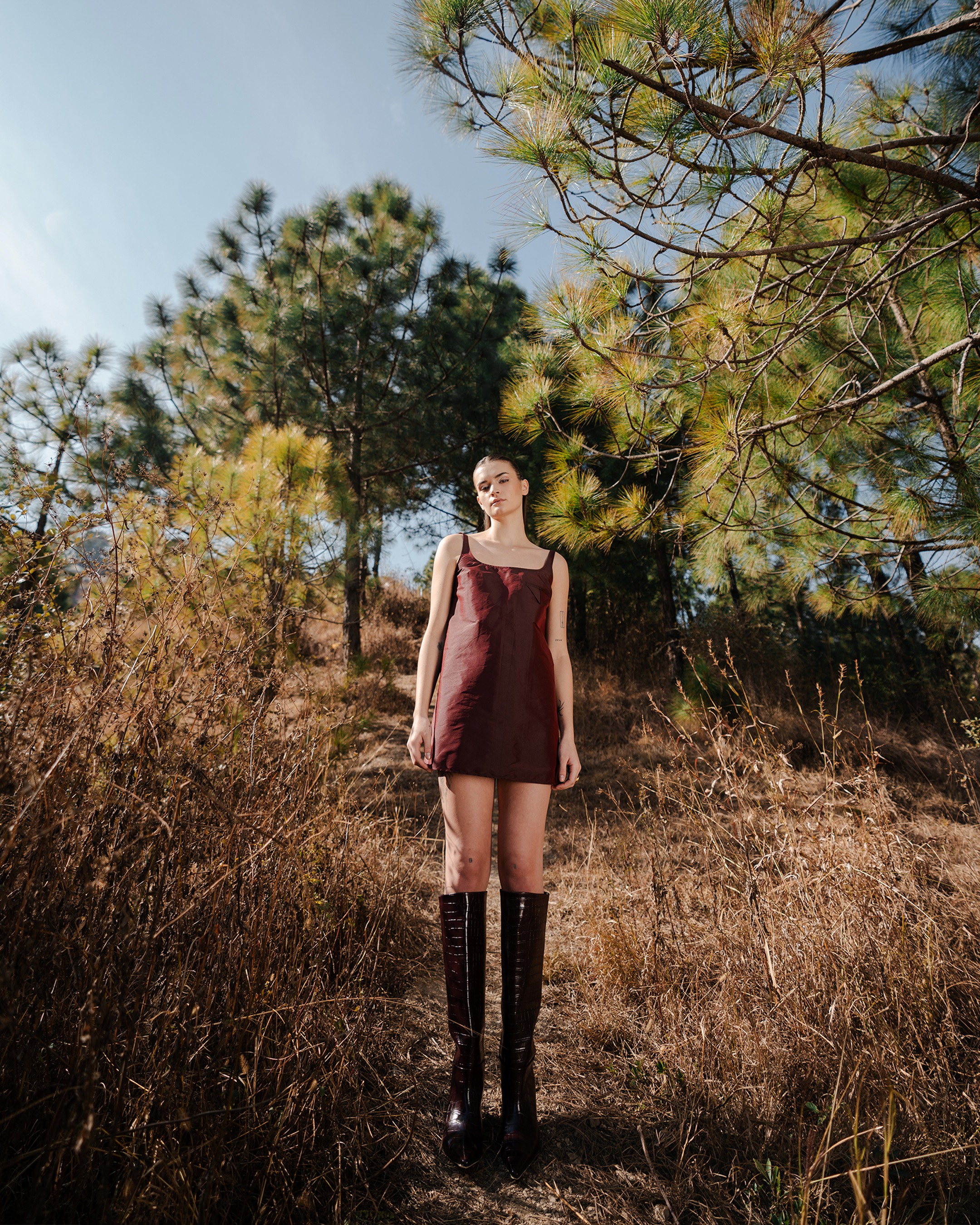 Dahlia Mini Dress