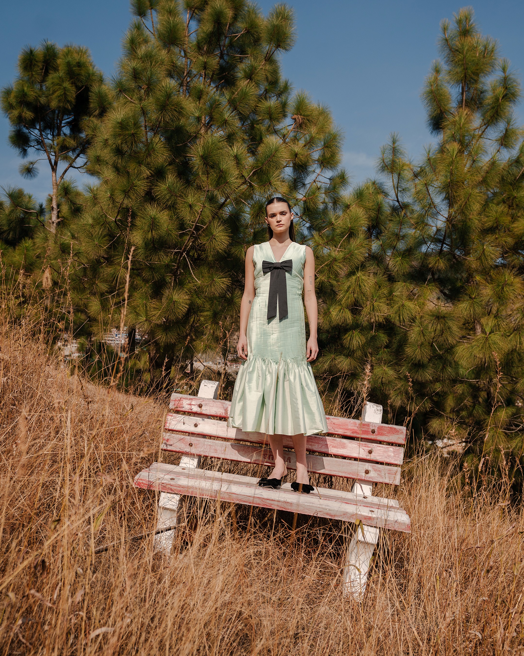 Ivy Dress