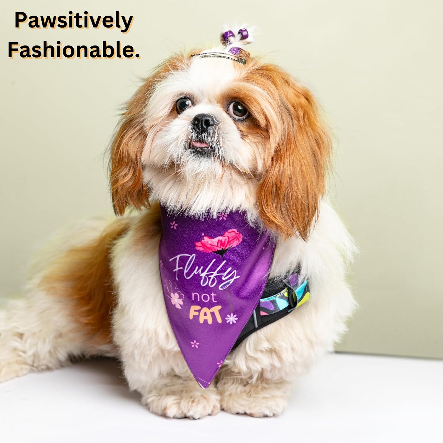 Waggety Dog Bandana, "Fluffy Not Fat" Design