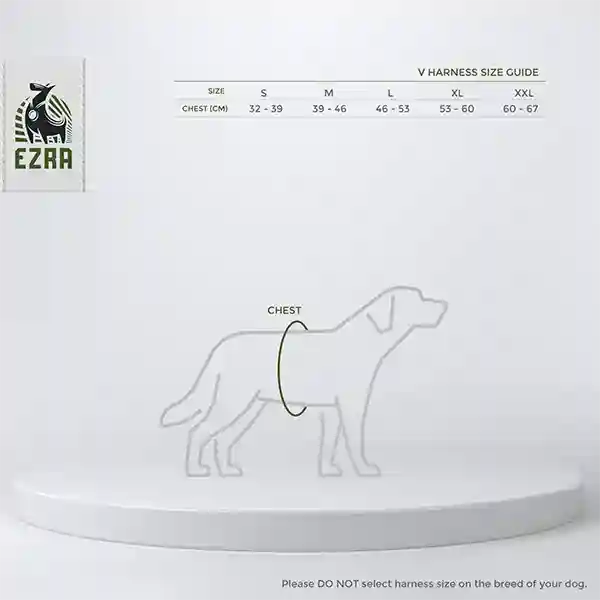 Ezra V Dog Harness - XXL