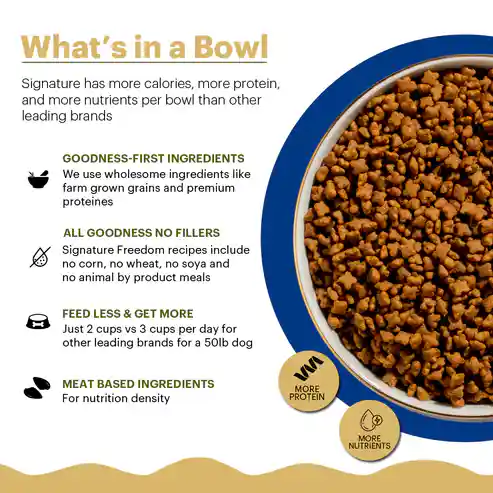 Freedom All Persian & Long Coat Cats Dry Food 1.2 kg