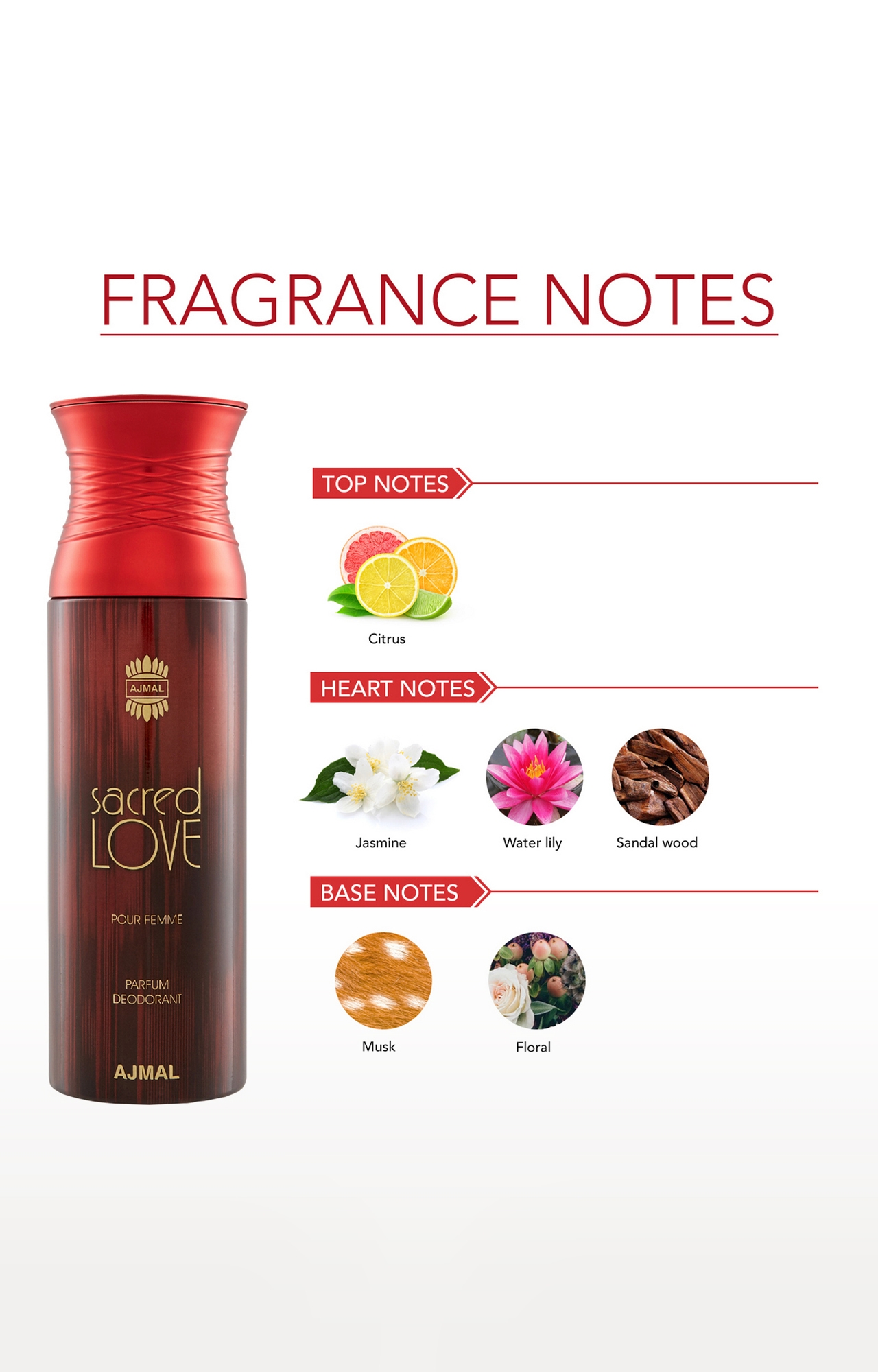 Ajmal | Ajmal Avid Homme & Sacred love Deodorant Spray Gift For Men & Women (200 ml, Pack of 2)  2