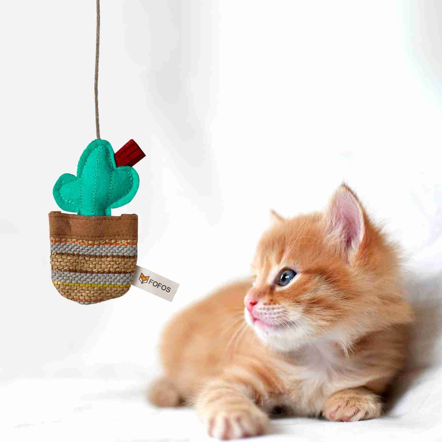 Barkbutler Fofos Cat Toys Cactus Wand Phoenix