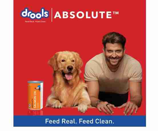Drools Absolute Salmon Oil Syrup Supplement for Dogs, 150 ml