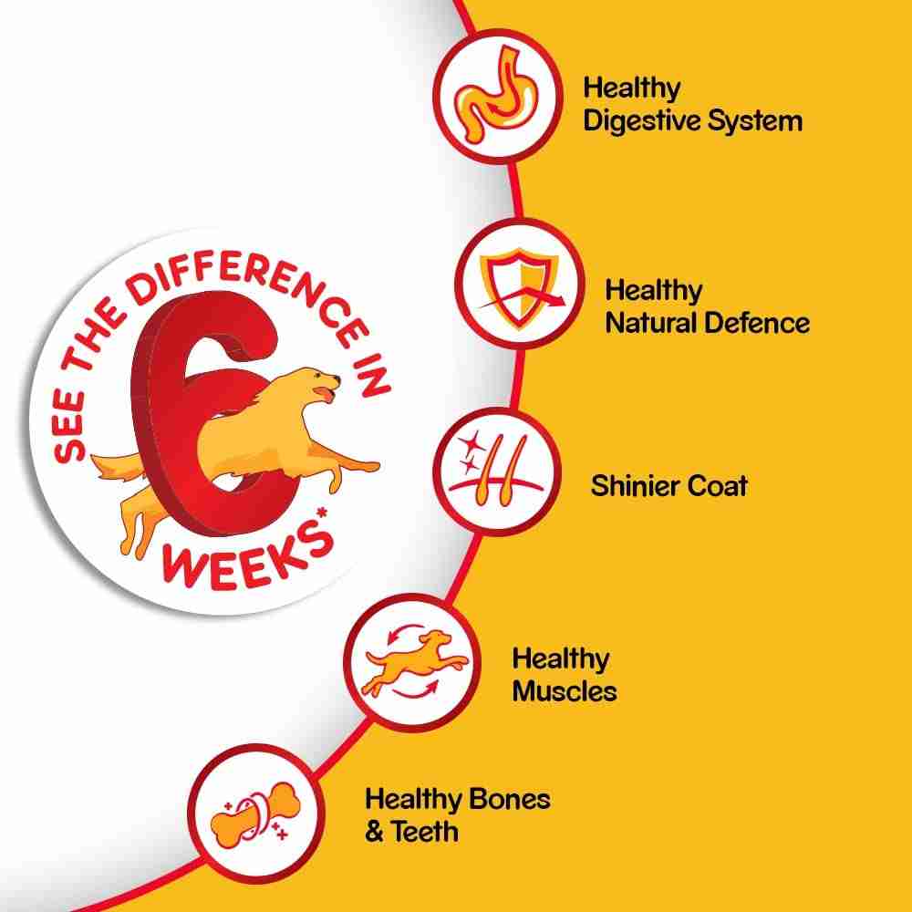 Pedigree Chicken and Milk Puppy Dog Dry Food