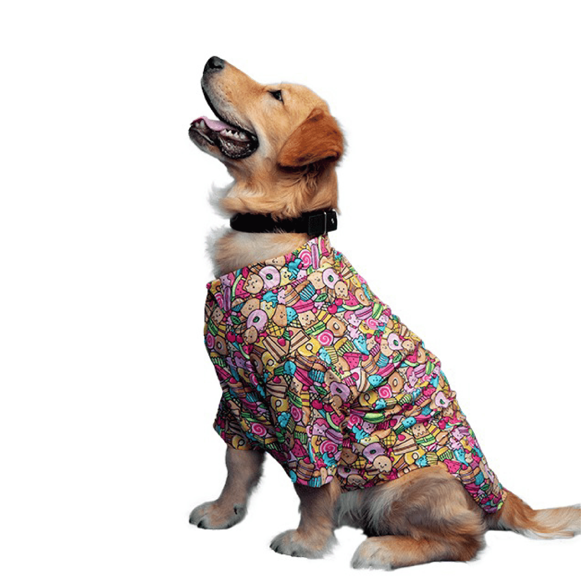 Ezra Dog Shirt Candy - 3XL