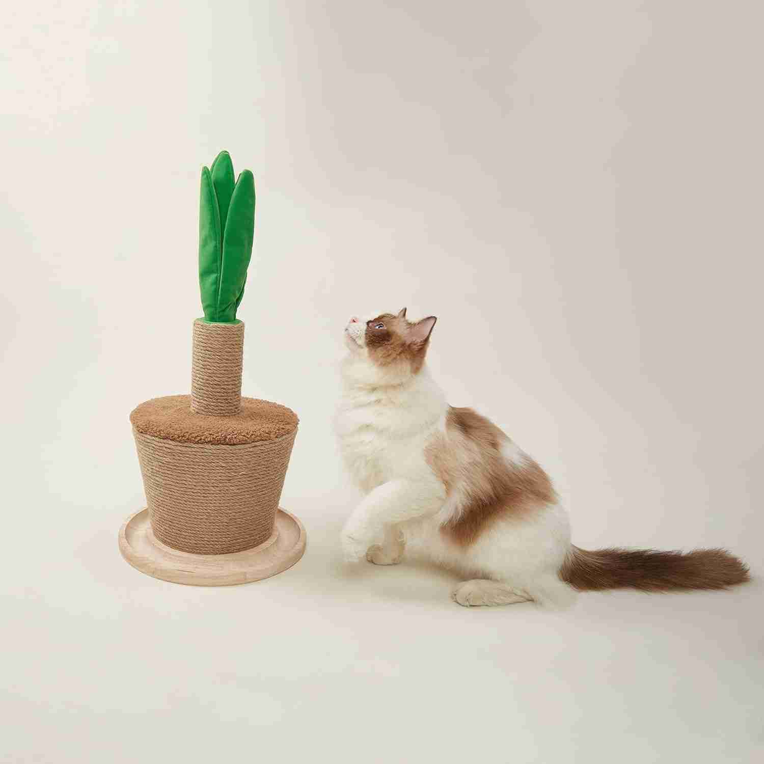 Barkbutler Fofos Pot Plant Cat Scratcher