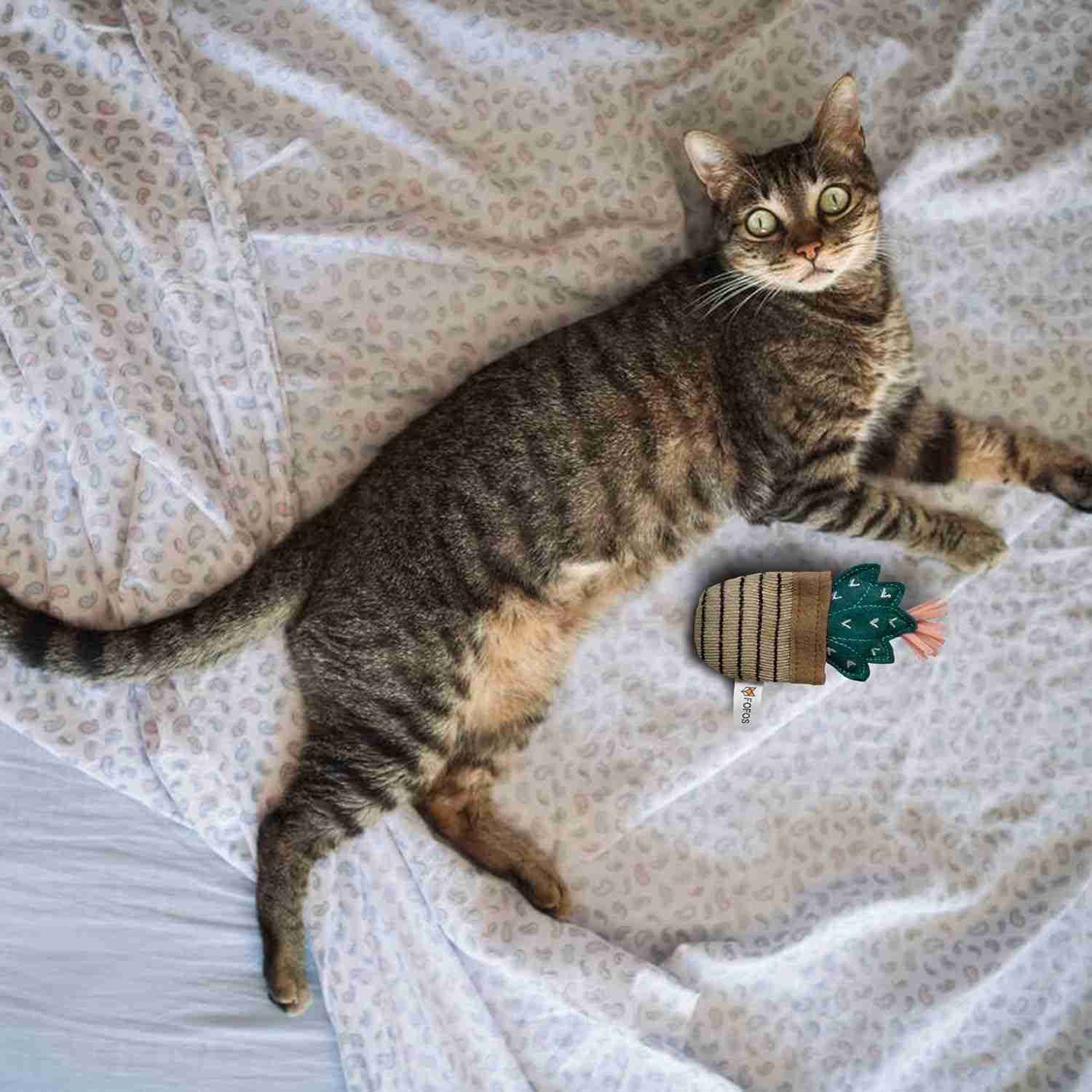 Barkbutler Fofos Cat Toys Dark Green Cactus for Cats