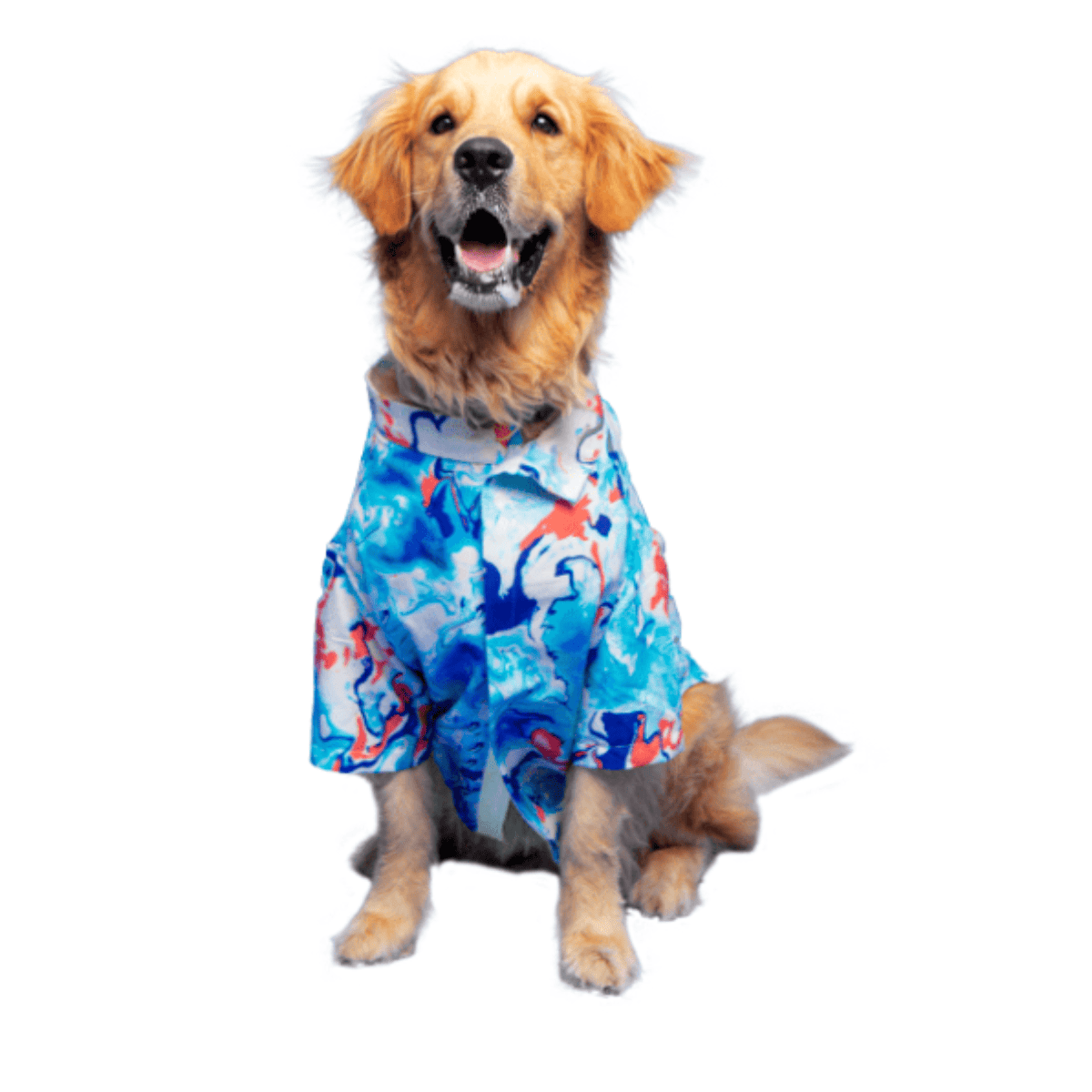 Ezra | Ezra Polyester Blend Dog Shirt – Fluid