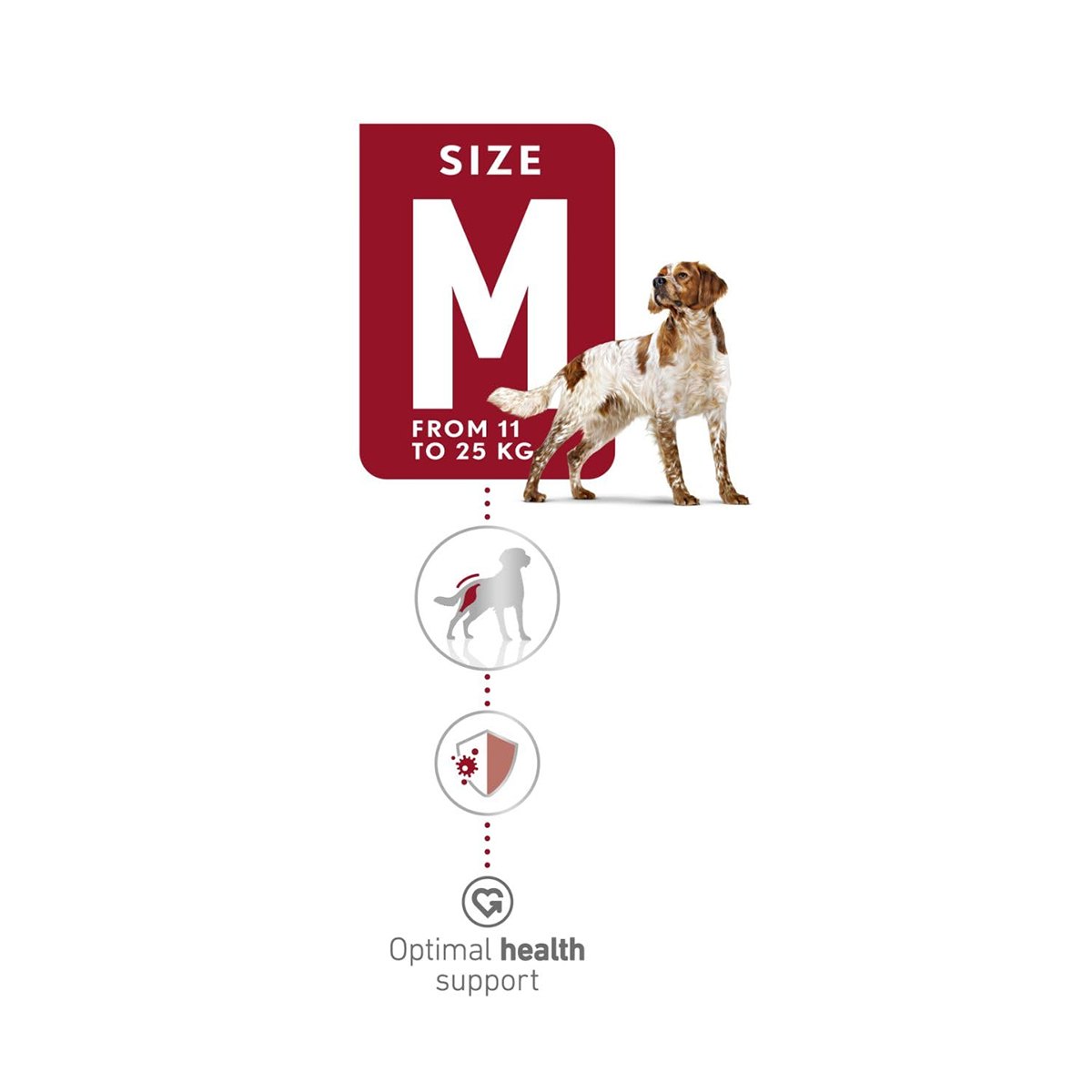 Royal Canin Medium Adult 4 Kg – (Best Before Jan’26)