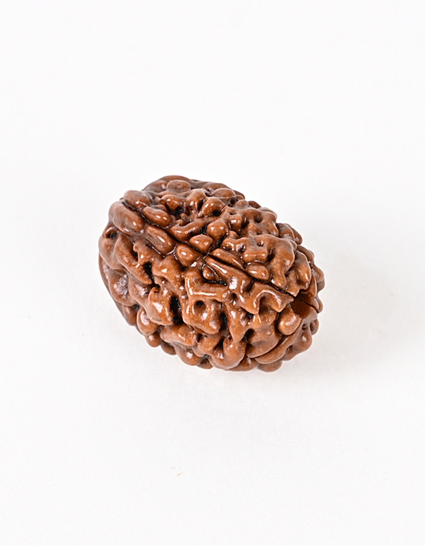 Shiv Ratan Kendra 4 Mukhi Indonesia Quality Rudraksha Bead- Enhances intellect & concentration power Removing Negativity I 100% Natural & Genuine Quality - Lab Certified