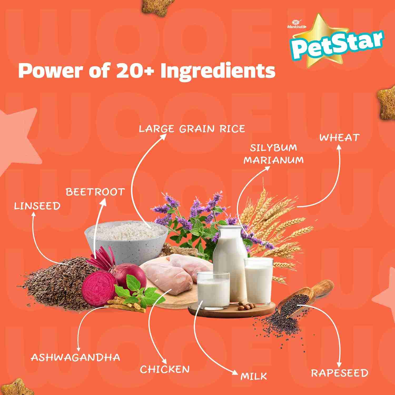 Petstar Milk and Wheat Puppy Dog Dry Food, 3 kg