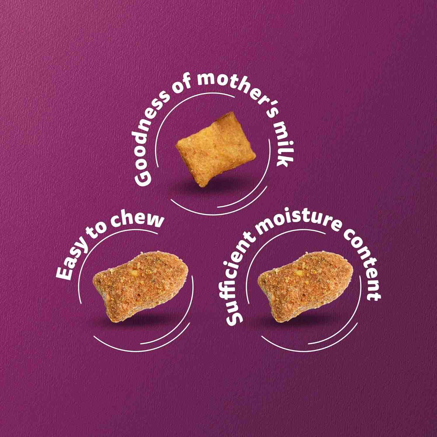 Whiskas Mackerel Junior Cat Dry Food