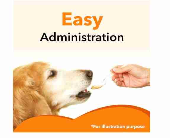 Drools Absolute Salmon Oil Syrup Supplement for Dogs, 150 ml