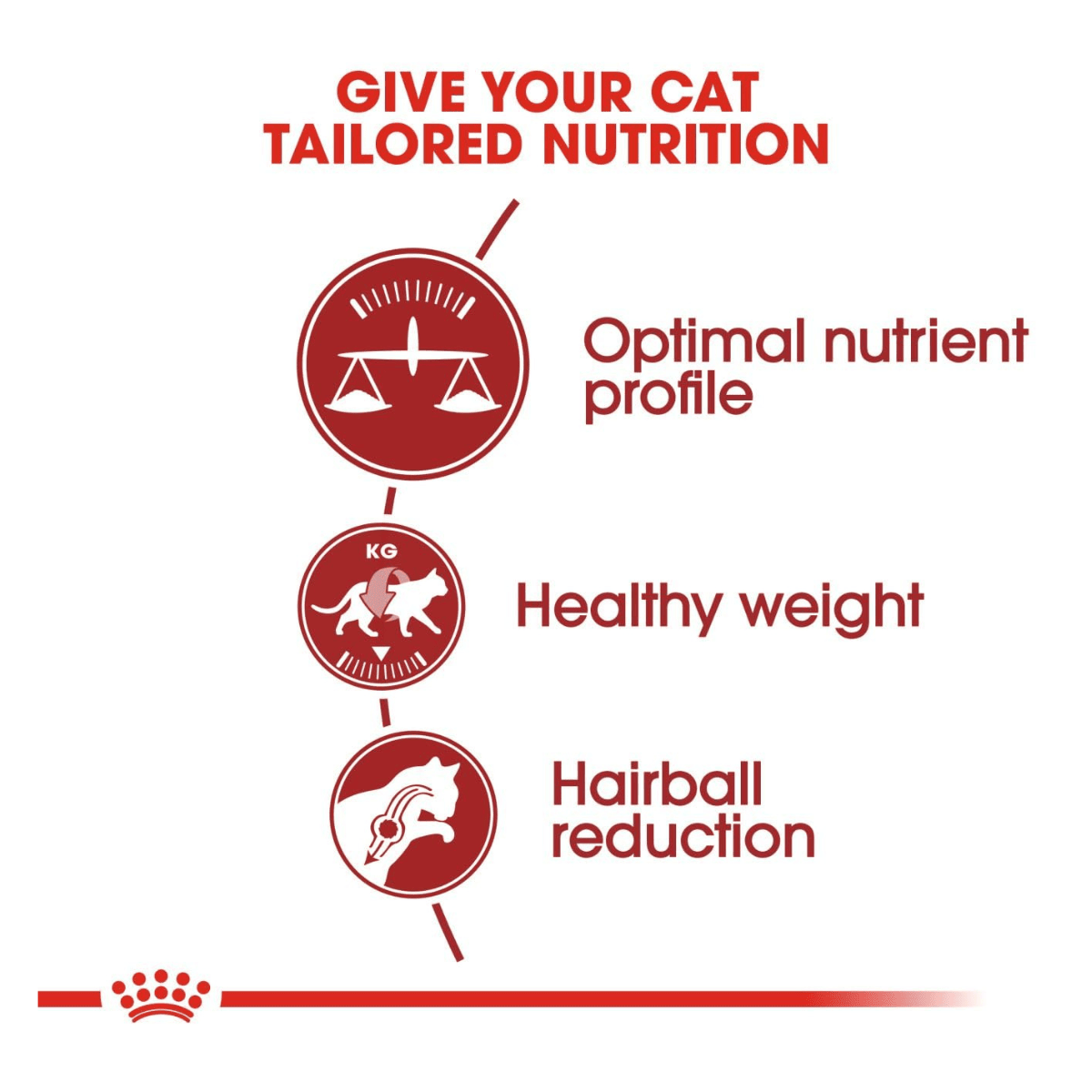 Royal Canin Nutrition Fit 32 Dry Cat Food