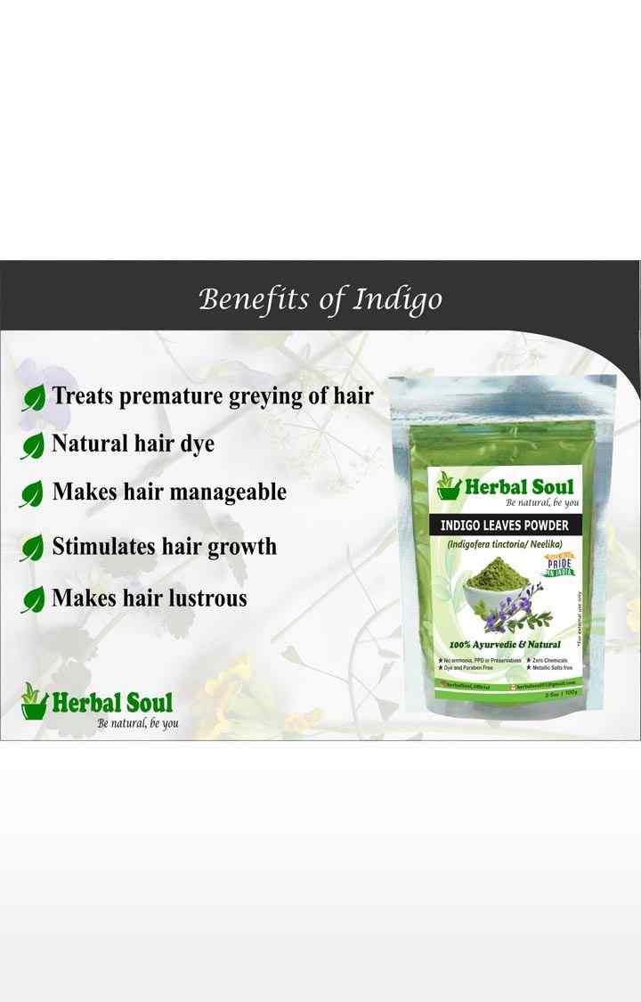 Herbal Soul Indigo Powder | Organic Indigo Leaf Powder | Indigofera Tinctoria | Pure Neel Powder (100% Pure) for Natural Black Hair Dye in Ziploc standup pouches | Pack of 5 , 500 gm