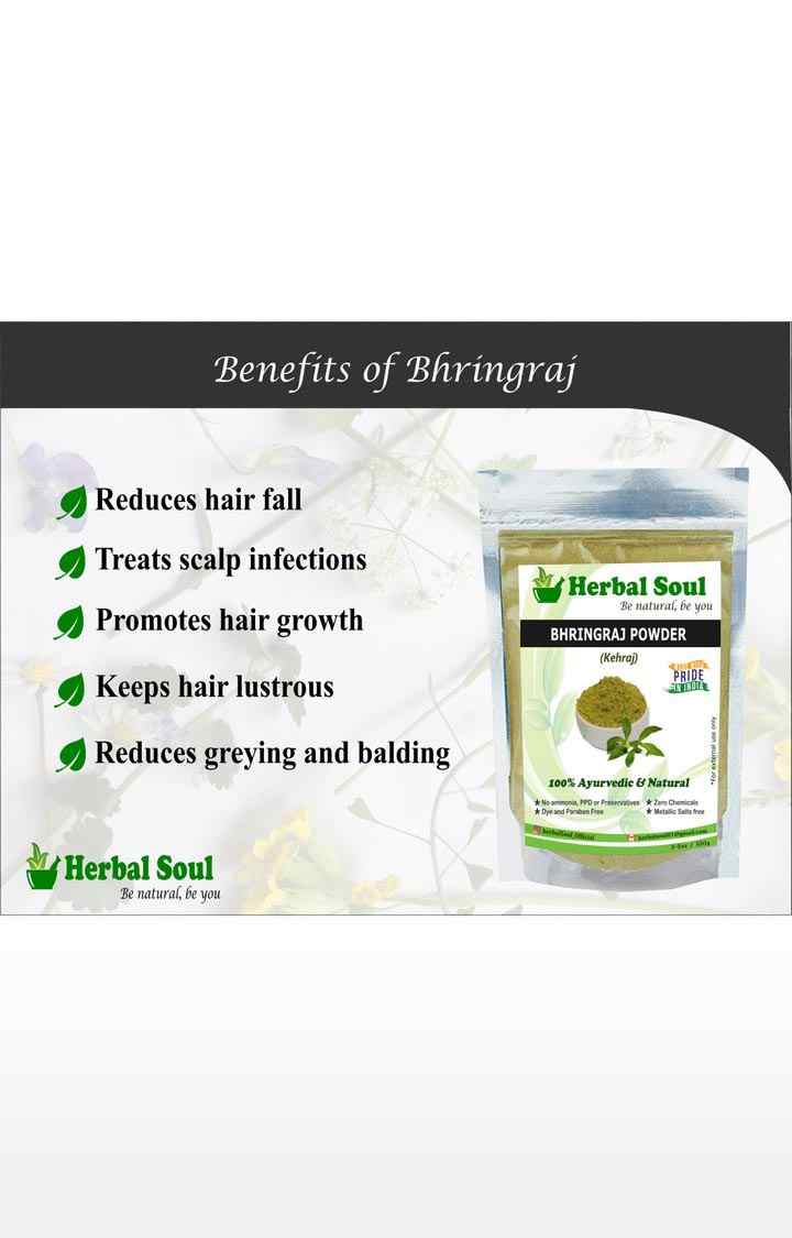 Herbal Soul Bhringraj Powder| Bringaraj Leaves | Bringraj dry leaves | Bhangra | False Daisy |Kehraj Powder (100% Natural) inZiploc standup Pouch | Unisex |Pack of 5 ,500 gm