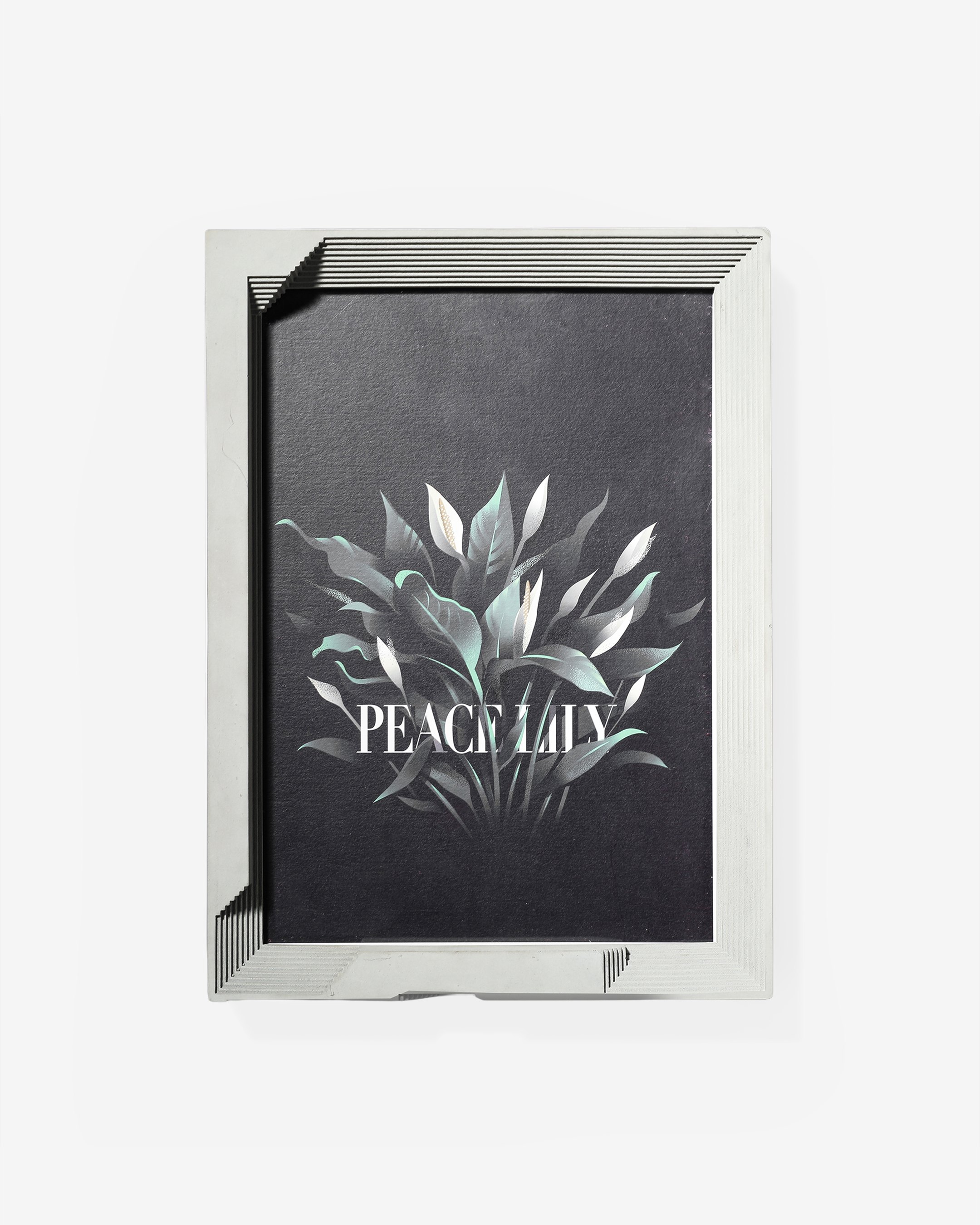 Behold -The Art Frame