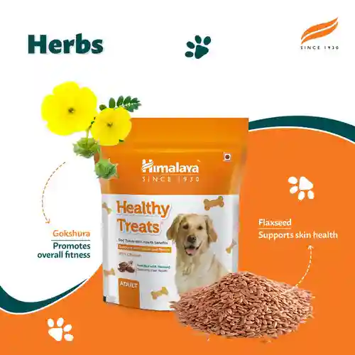 Himalaya Healthy Treat Adult Chicken For Dog Treats