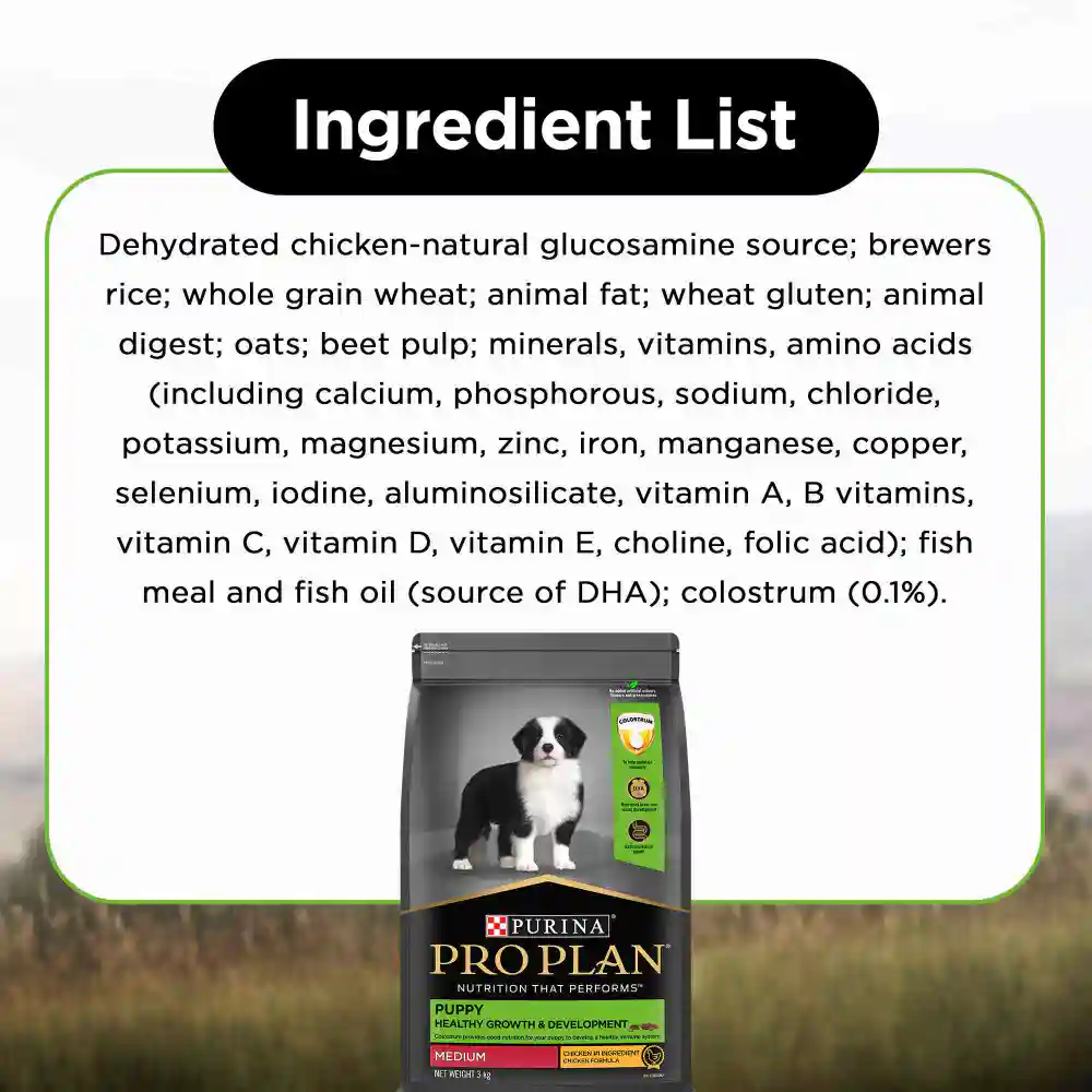 Purina Pro Plan Chicken Medium Breed Puppy Dog Dry Food 1kg