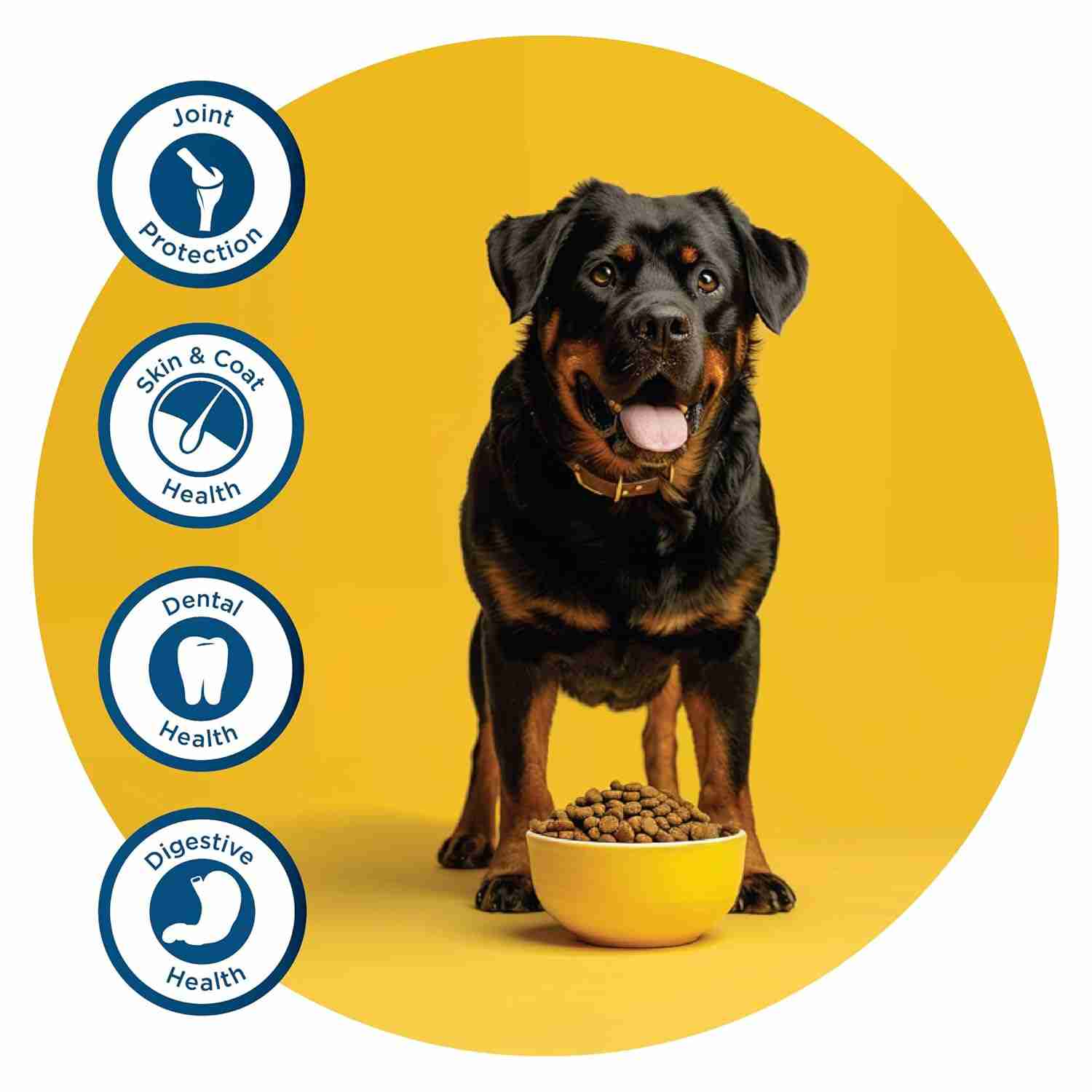 Fidele Adult Large Breeds Dry Dog Food 1kg