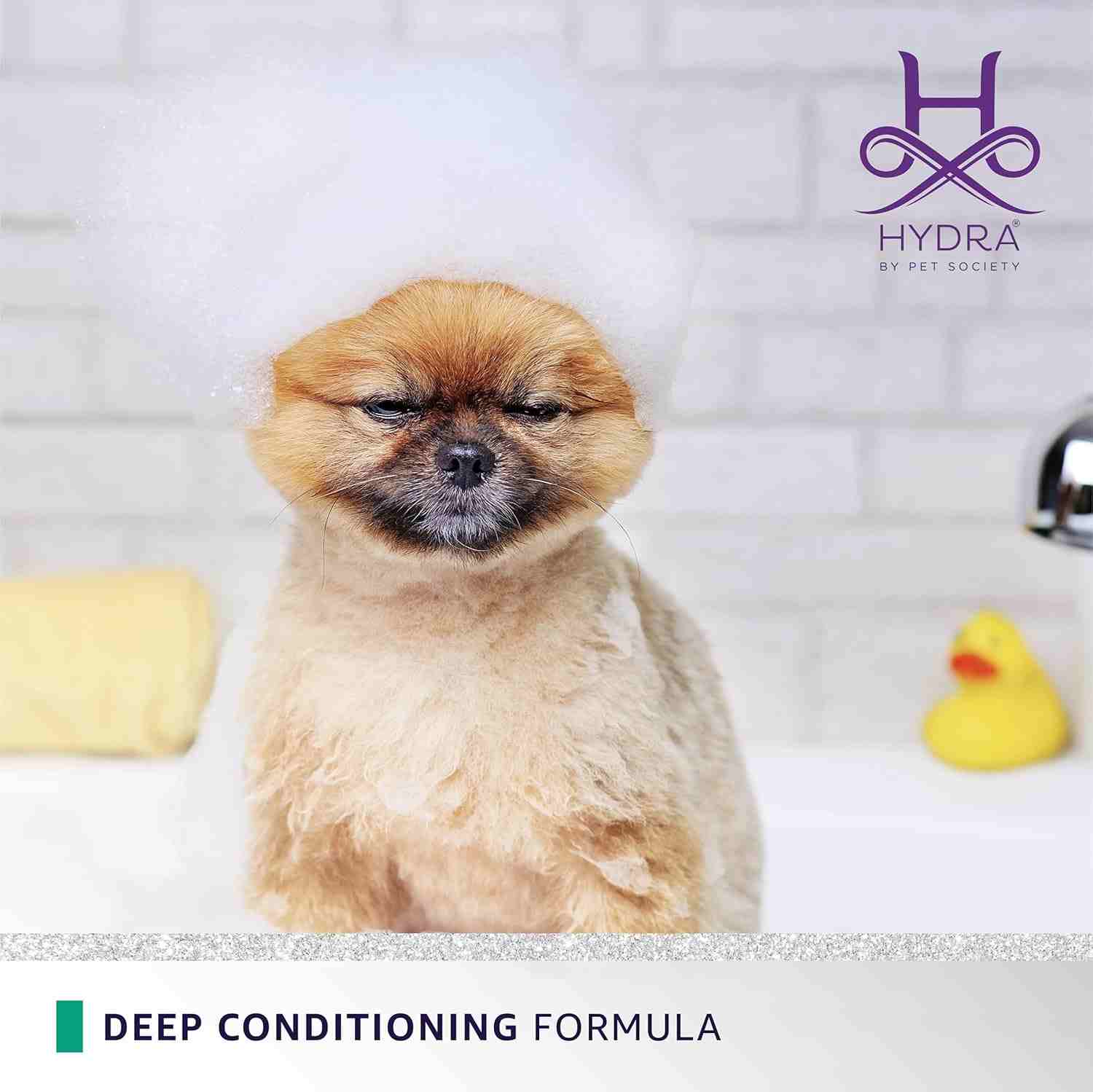 Hydra Groomer’s Flash Active Deep Conditioner, 900 g