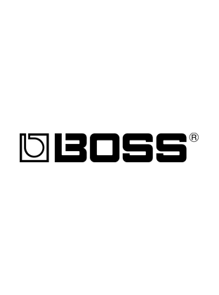 BOSS brand banner