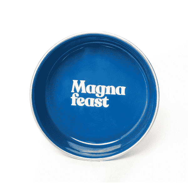 Magna Feast Pet Feeding Bowl