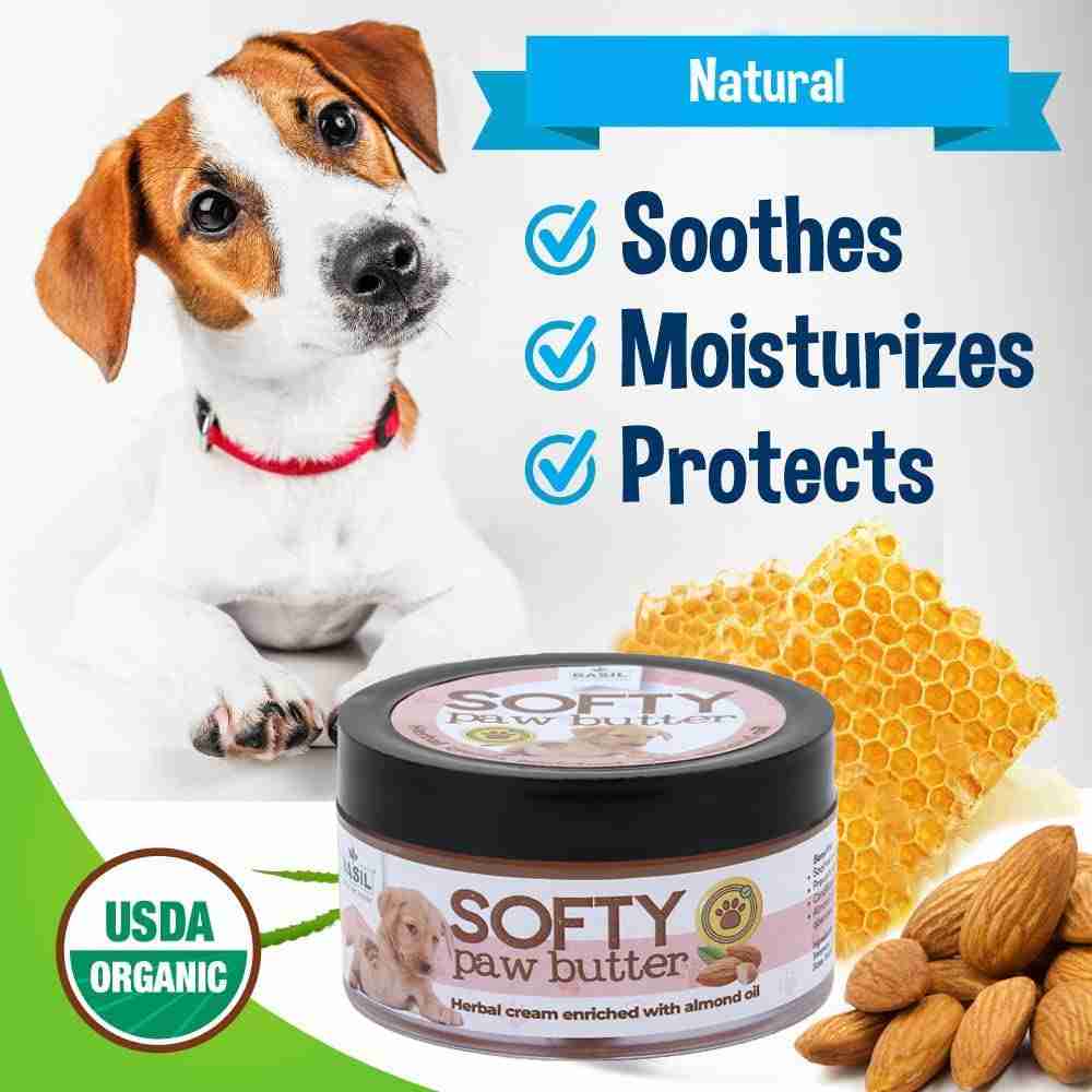 Basil Softy Paw Butter