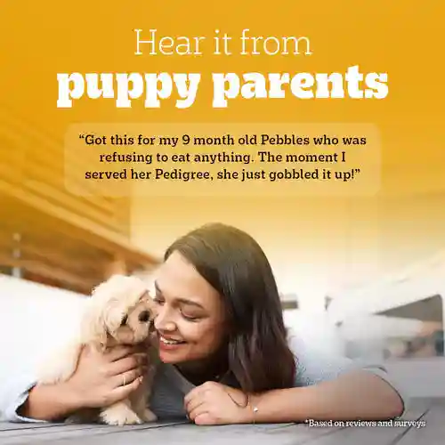 Pedigree Chicken & Liver Chunks In Gravy Puppy Wet Food, 130g