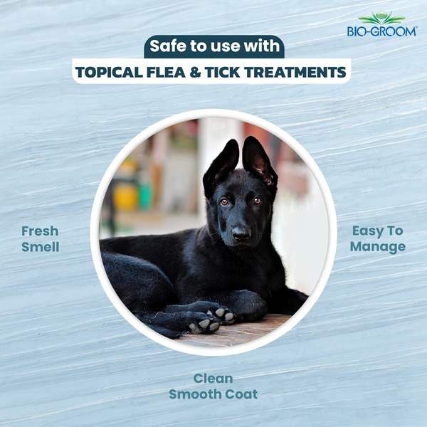 Bio-Groom Ultra Black Color Enhancer Shampoo