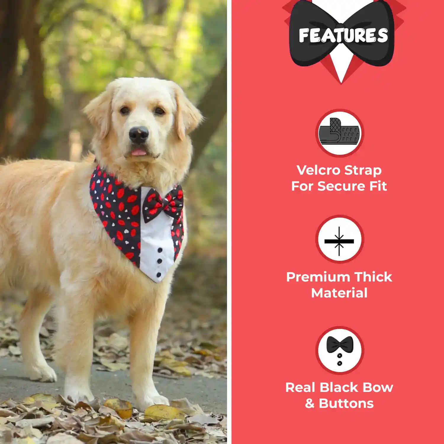 PawsIndia Valentines Edition Red Heart Printed Tuxedo for Pets
